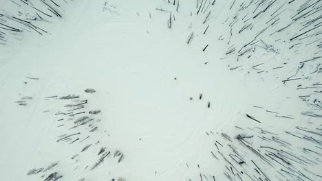 snowmobiling in grand lake colorado