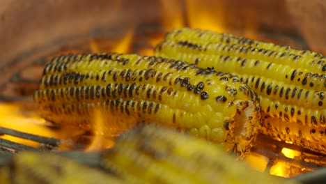 maíz a la parrilla en la mazorca