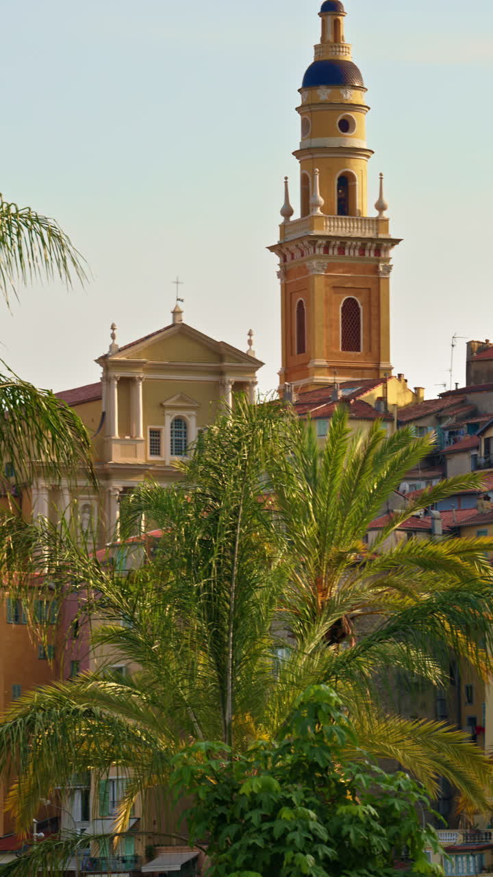 View of palm trees with the colourful buildings in Menton, France on the background. Vertical