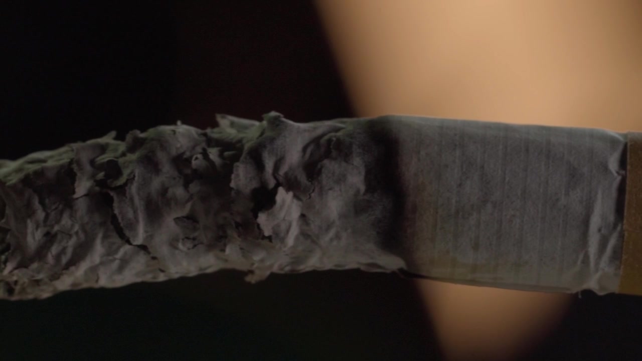 Primo piano macro di un sigaro acceso coperto da uno spesso strato di cenere che evidenzia la combustione del tabacco, l'abitudine al fumo, la dipendenza da nicotina e i rischi per la salute su sfondo scuro.