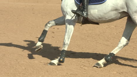 white horse galloping through an equestrian show jumping course in slow motion