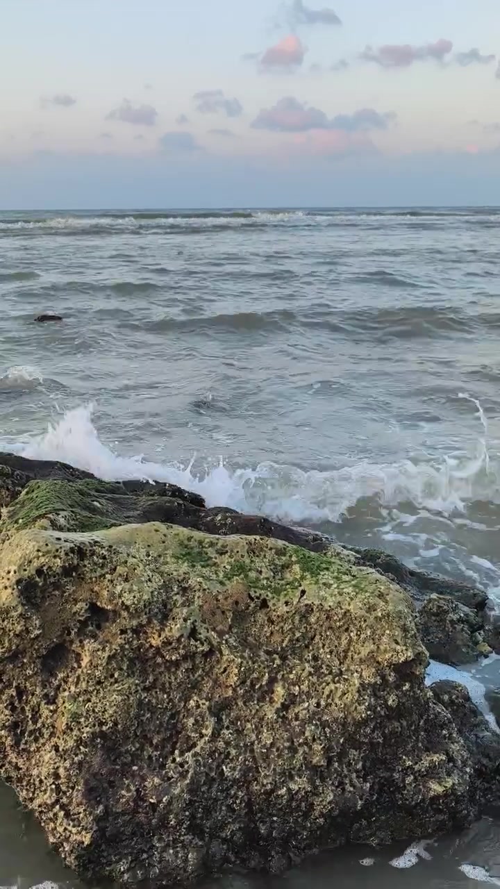 Onde dell'oceano che si infrangono contro rocce muschiose al tramonto