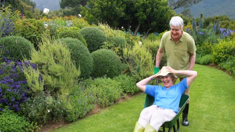 senior man pushing senior woman in wheelbarrow