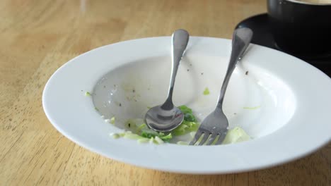 plato vacío de ensalada después de una comida