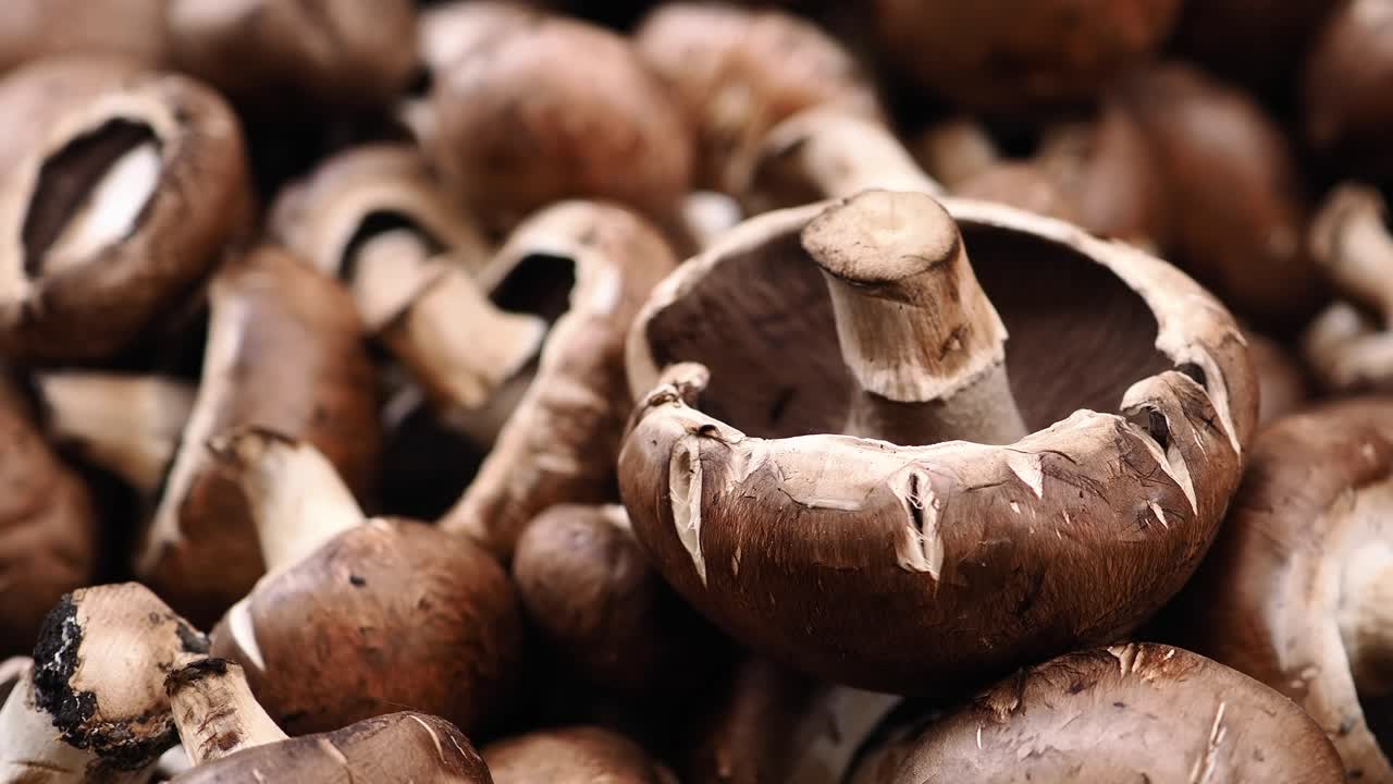 Primo piano di funghi Portobello freschi e marroni.