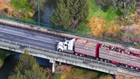 overhead drone footage captures a caravan and a logging truck traveling across a rural bridge in coonabarabran, nsw, under natural daylight with steady camera movement