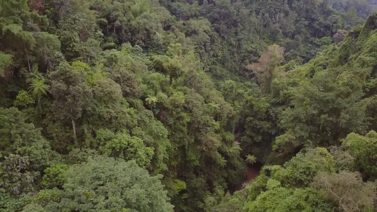 cascada nungnung en medio de bali, indonesia