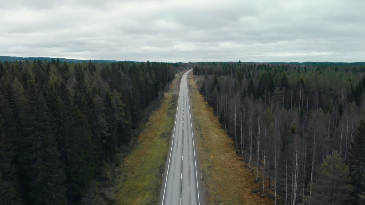 съемка с воздуха, с беспилотника, полет вдоль дороги, между соснами и безлистным березовым лесом, в пасмурный осенний день, в юука, северная карелия, финляндия