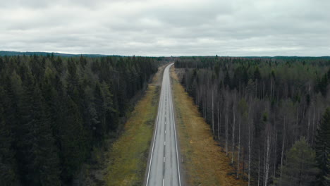 aerial, drone shot, flying along a road, between pine trees and leafless birch forest, on a cloudy, autumn day, in juuka, north karelia, finland