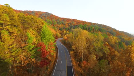 FPV-Drohne-Fliegt-Schnell-über-Eine-Autobahn-Voller-Herbstfarben,-Während-Autos-Vorbeifahren