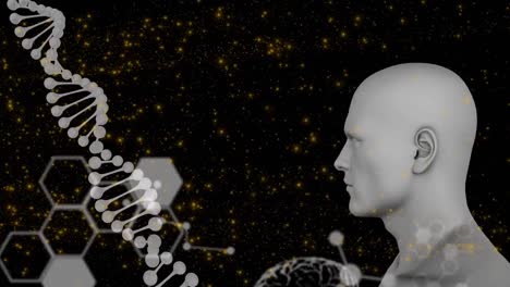 animación de una cadena de adn, cabeza humana sobre el procesamiento de datos en fondo negro