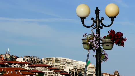 flowers flag background bulgaria 4k