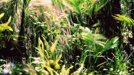 close-up-jungle-grass-and-plants