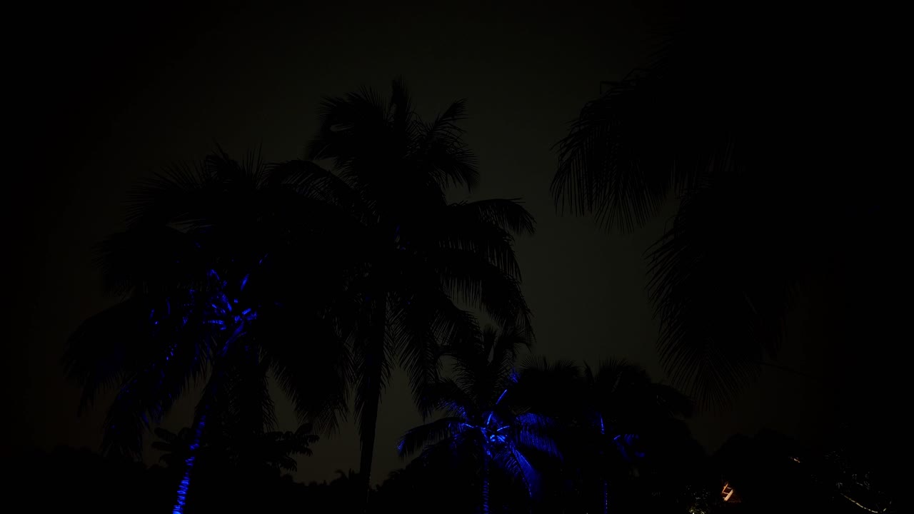 lapso de tiempo de relámpagos en florida, palm threes