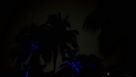 lapso de tiempo de relámpagos en florida, palm threes