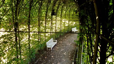 Green-corridor-of-Nature-park-in-Kleve-Germany,-aerial-footage-covering-the-gallery-of-green-plants-and-stalks,-which-is-beautiful-and-touristy