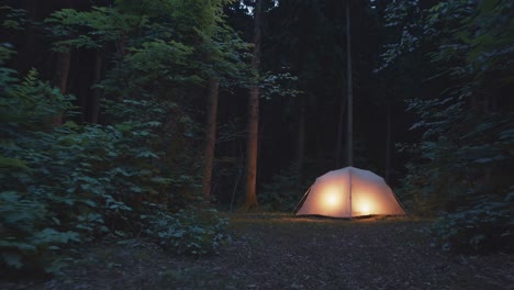 illuminated tent glowing warmly in a tranquil forest at night, creating an inviting and cozy camping scene, surrounded by the peaceful embrace of darkness and nature's beauty