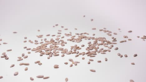 Close-Up-Of-Roasted-Sunflower-Seeds-Dropping-In-Slow-Motion-Against-White-Background