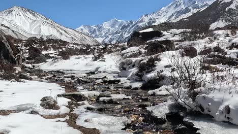 Icy-partly-frozen-creek