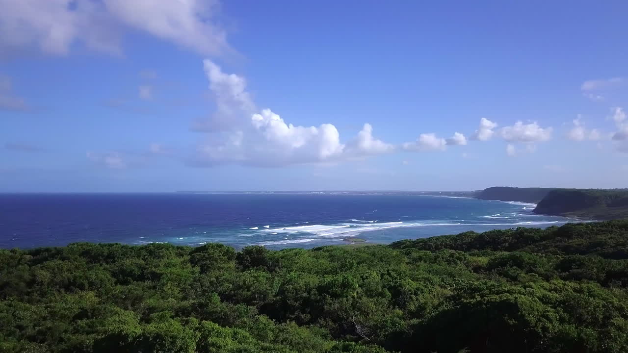 aereo, sorvolando le cime degli alberi