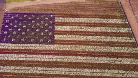 an aerial shot over a giant american flag made of flowers