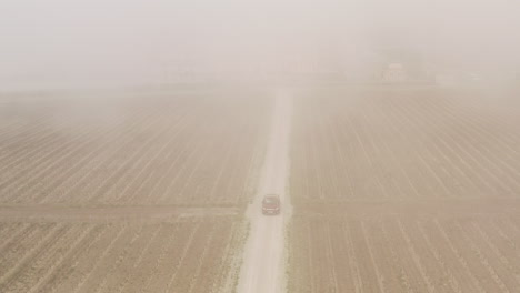 misty vineyard road with car