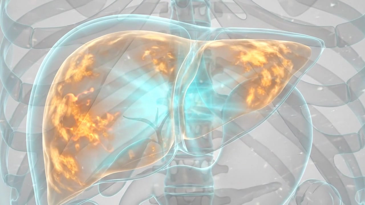 Medical Animation of Human Liver Inflammation and Disease