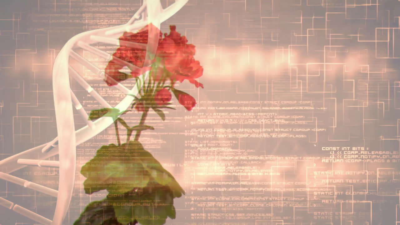 Animation of DNA strand with red flower and scientific data processing in background