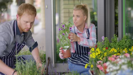 Frau-Und-Mann,-Die-Im-Blumenladen-Arbeiten