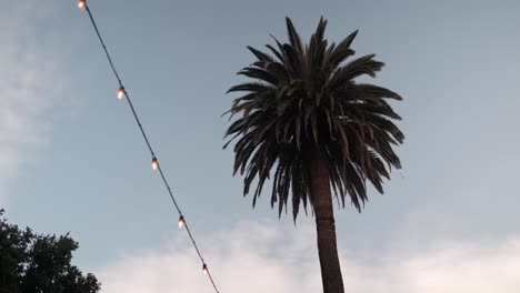 iluminación exterior con palmera detrás y cielo