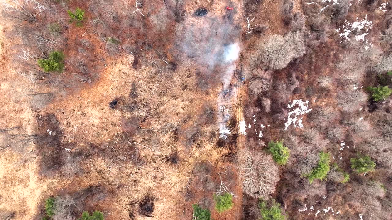 Smoke Rising From Small Fire In Forest, Surrounded By Leafless Trees And Patches Of Snow In Winter. vertical drone shot