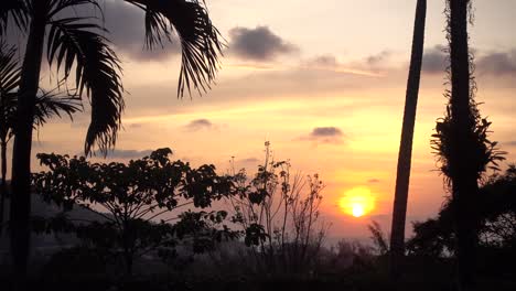 stunning silhouette sunset view with palm tree on tropical island