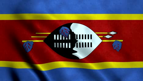 4k seamless loopable flag of swaziland