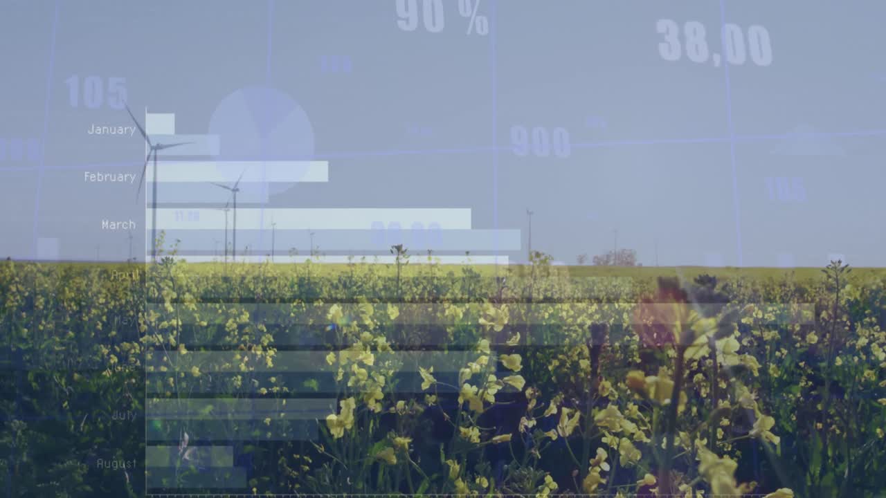 꽃과 회전하는 풍차에 대한 통계 데이터 처리의 애니메이션