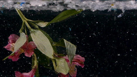Rosa-Schwimmende-Unterwasserblumen-In-Glitzer,-Glitzer-Und-Farbe