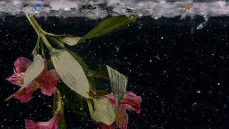 pink floating underwater flowers in sparkles and glitter and color