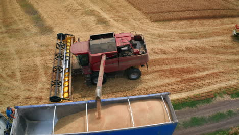 wheat harvesting operation