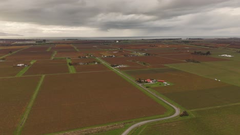 aerial drone shot flying up over vast rural agricultural fields and scattered farmhouses near blenheim, south island, new zealand, under a cloudy sky. scenic landscape