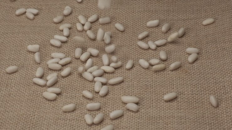 White beans cannellini legumes rotating on jute background