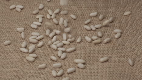 white beans cannellini legumes rotating on jute background