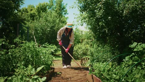 woman gardening in backyard garden