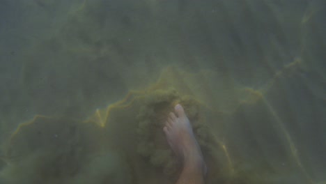 fpv view of man feet and legs walking underwater on sandy seabed with sunlight reflections raising sand clouds