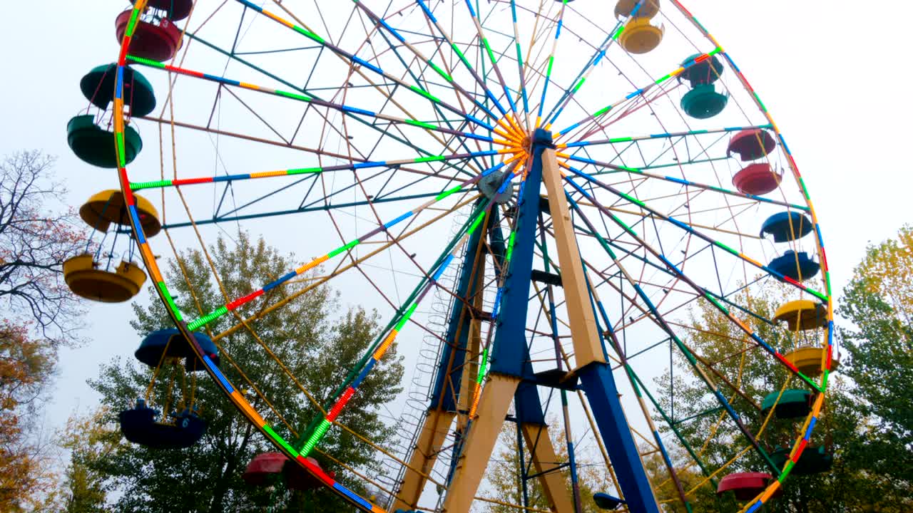 달리는 빛나는 다채로운 페리스 의 앞면