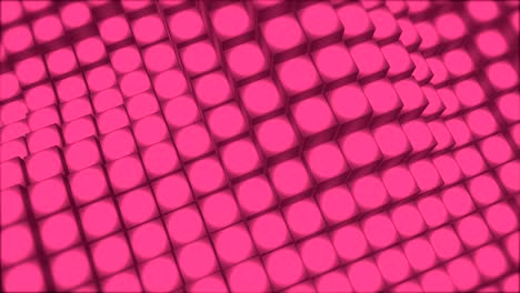 waving cubes loop (pink)