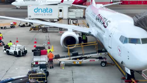 ground crew services airplane at sydney airport