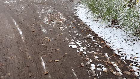 Pan-up-on-a-park-then-diagonally-up-right-covered-of-snow-Berlin-in-wintertime-in-Park-Hasenheinde-HD-30-FPS-6-secs