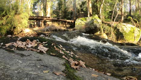 Corriente-De-La-Cascada-Del-Río-En-Un-Parque-Natural-En-Portugal