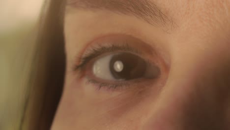 Makro-Nahaufnahme-Der-Braunen-Augen-Eines-Brünetten-Mädchens-Unter-Dem-Sonnenlicht