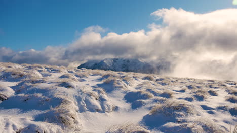 Schöne-Schneelandschaft-Auf-Den-Bergen-Und-Schneebedeckten-Pflanzen-An-Sonnigen-Tagen