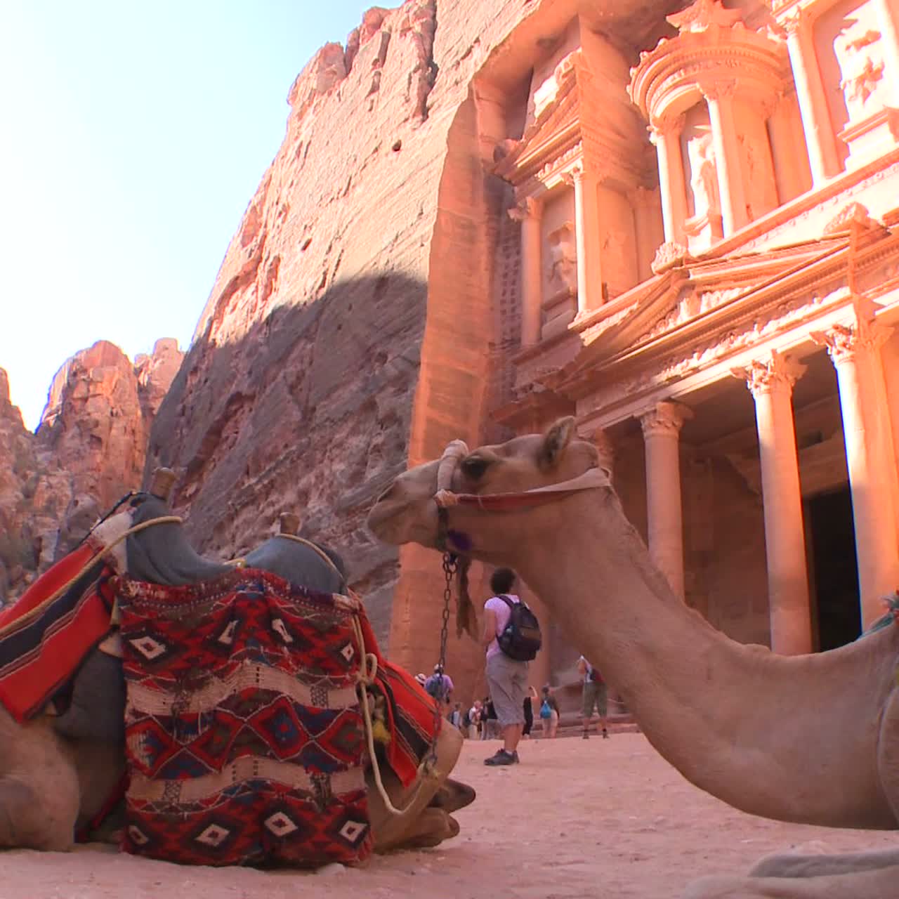 los camellos se sientan frente al edificio del tesoro en las antiguas ruinas nabateas de petra jordania